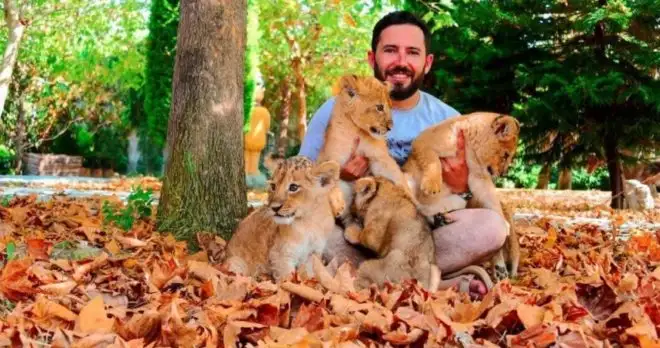 Side Land of Lions Tour 1